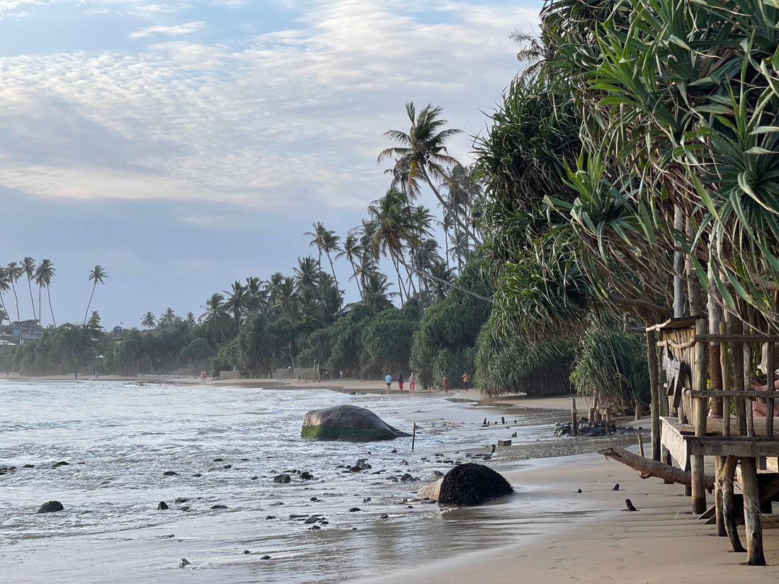 A Sri Lankan beach