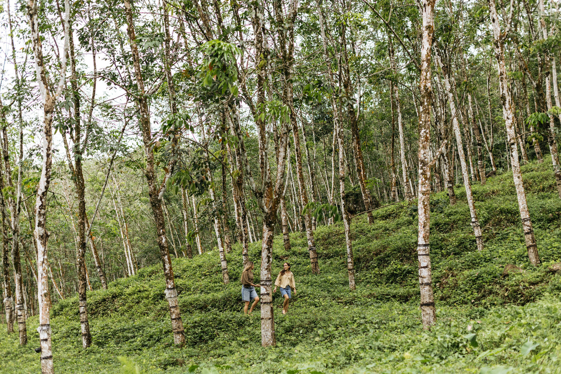 Amy and Kate of Sandos, in a rubber tree plantation in Sri Lanka