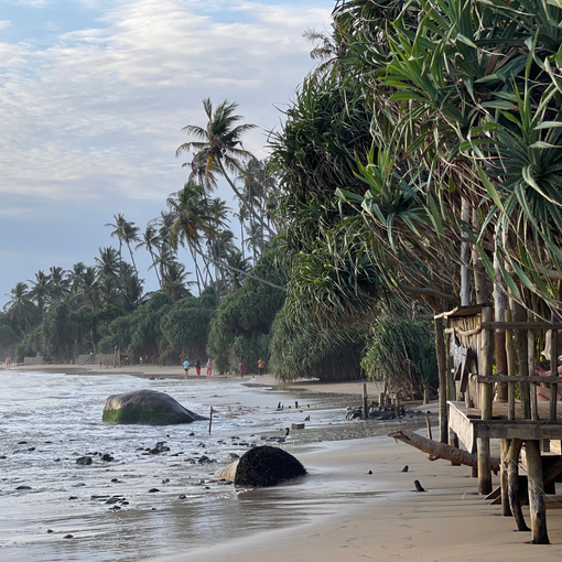 Sri Lanka: The Heart of Sandos
