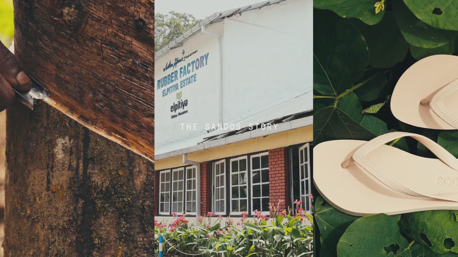 Sandos' Sustainability Story